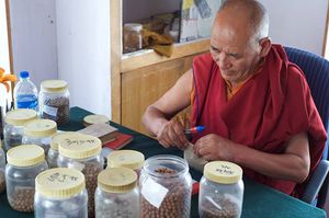 Tibetan medicine at the monastery's drugstore